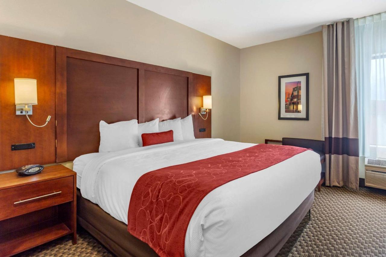 Comfort Suites Μέμφις Εξωτερικό φωτογραφία